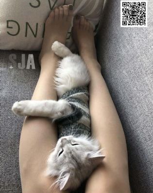 媳妇的味道_国产剧最新电影在线观看